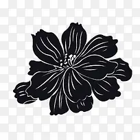 黑色盛开的莲花