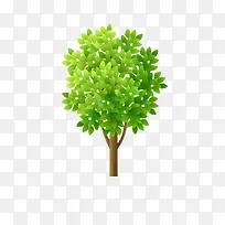嫩绿的小树图片素材