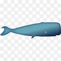 蓝色卡通大海鲸鱼