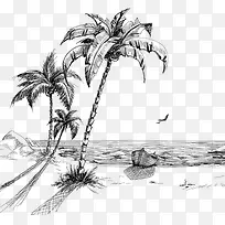 素描椰树