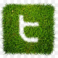 推特草Grass-web20-icons