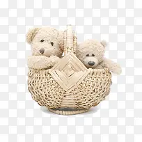 篮子内的熊妈妈和熊宝宝