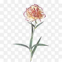 清新一枝花装饰图案