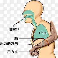 嗓子被卡急救方法