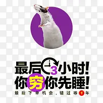 双十二促销