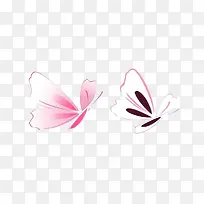 蝴蝶图案花纹色彩