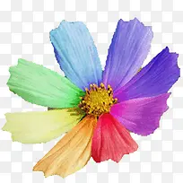七色花花瓣