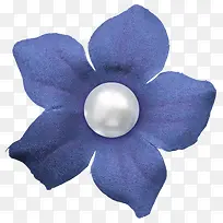 蓝色 珍珠 花朵