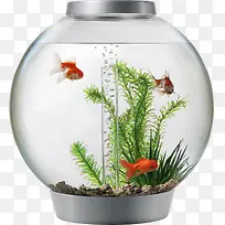 圆形玻璃鱼缸