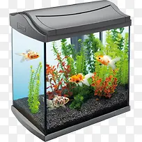 自动换水鱼缸