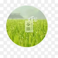 圆形谷雨节气插画