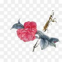 中国风手绘花卉