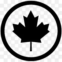 加拿大国旗metrostation-Black-icons