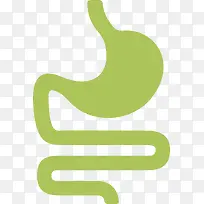 人体器官肠胃器官