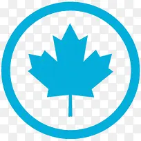 加拿大国旗metrostation-Blue-icons