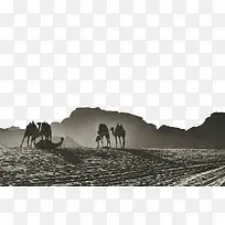沙漠骆驼黑白背景