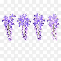 紫色植物花朵图案