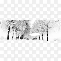 街道树林雪景