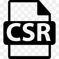 CSR文件格式变图标