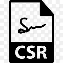 CSR文件格式图标
