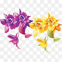 花，花朵，淘宝素材，紫色黄花