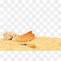 沙粒沙子
