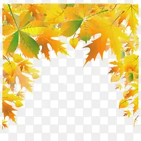 黄色叶子秋天矢量