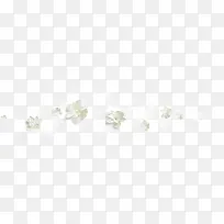 白花漂浮