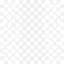 白色图案花藤框架