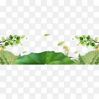 绿色手绘荷花免抠