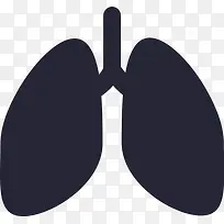 肺_lungs4