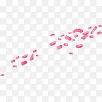 空中飞舞的粉色花瓣
