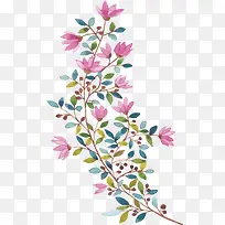 一直花藤