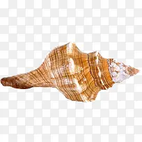 海螺