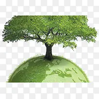 爱护地球保护树木