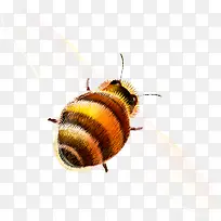 高清合成效果蜜蜂摄影