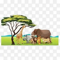 非洲草原鹿犀牛大象草原景色