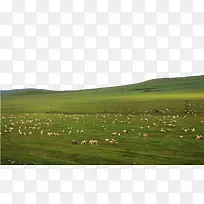 内蒙古呼伦贝尔草原景点