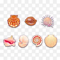 高清贝壳海螺