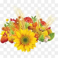 向日葵和其他植物手绘图