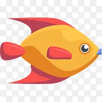 海洋生物橙色嘟嘴的鱼