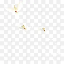 天空中的飞鸽