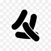 bacteria