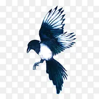 展翅的蓝白鸟卡通手绘免抠图