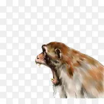 油画呐喊猴子