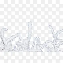 结霜的树枝