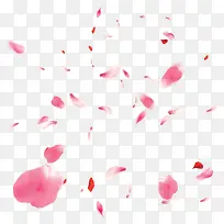 粉红色的花瓣