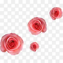 玫瑰唯美装饰壁纸