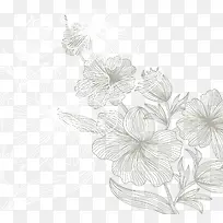 线描植物叶子纹理背景