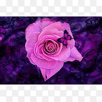 粉色花朵桌面壁纸素材